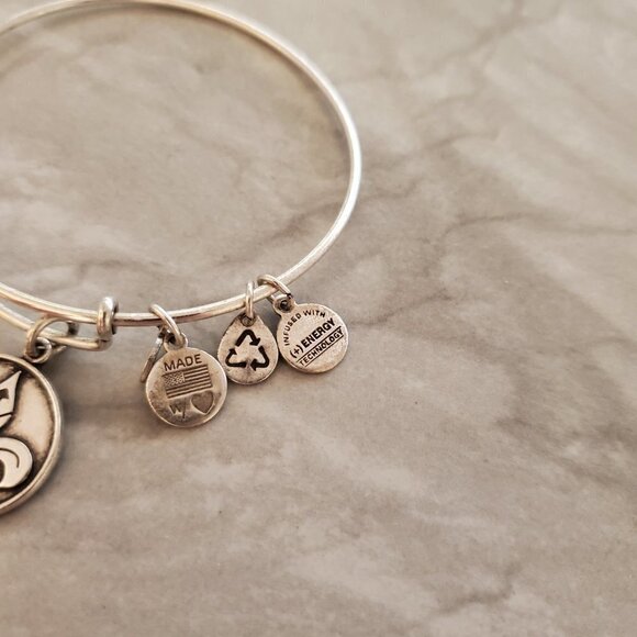 ⚜ Alex and Ani French Royalty Fleur de Lis Silver Expandable Charm Bracelet ⚜ - Picture 2 of 6